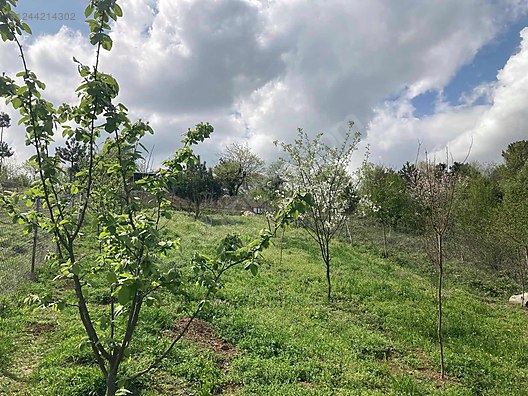 KOCAELİ KÖRFEZ ÇIRAKLI  MAHALLESİ'NDE 1.029 M² TARLA VE EV  SATILIKTIR - KOCAELİ KÖRFEZ fotoğraf 15